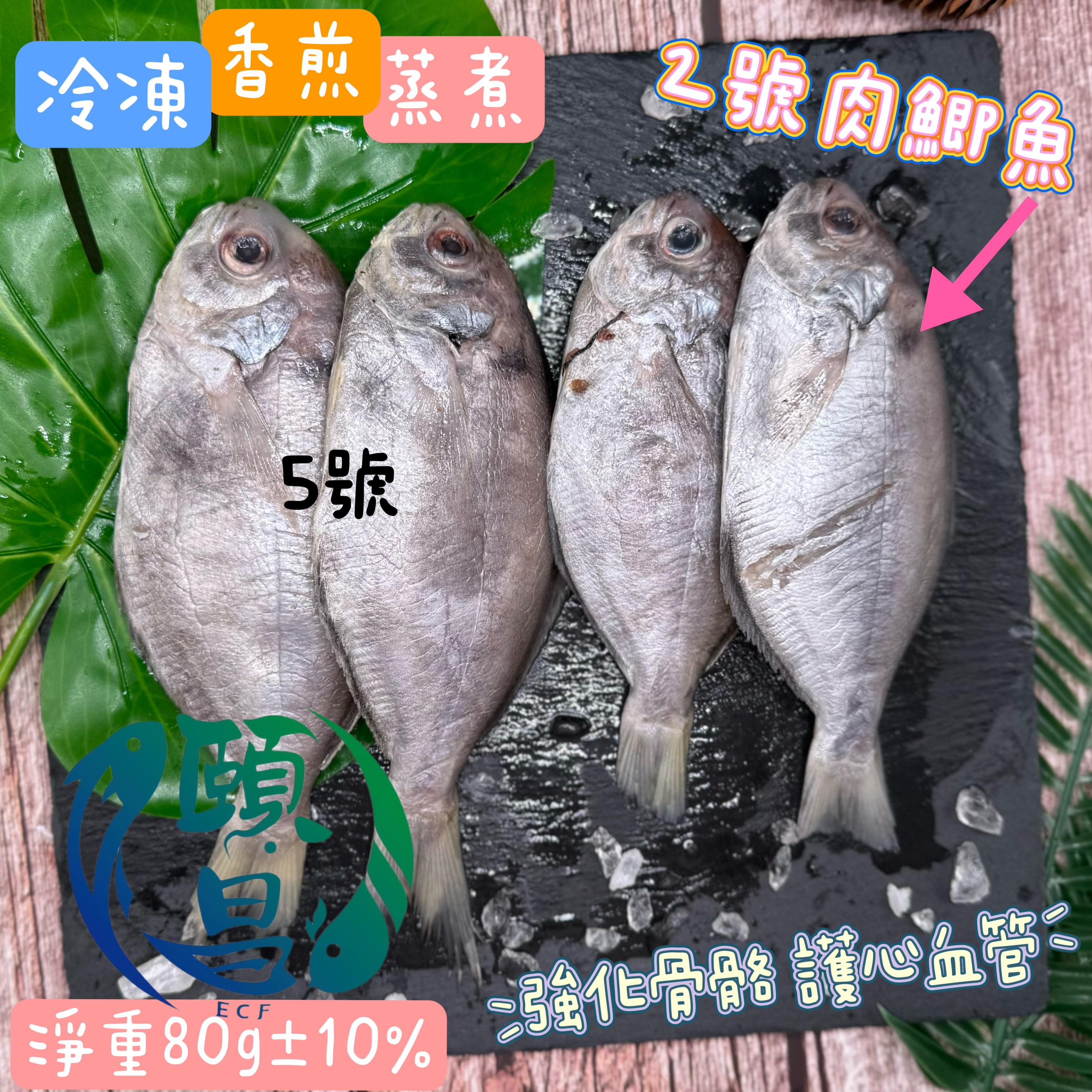 肉鯽魚