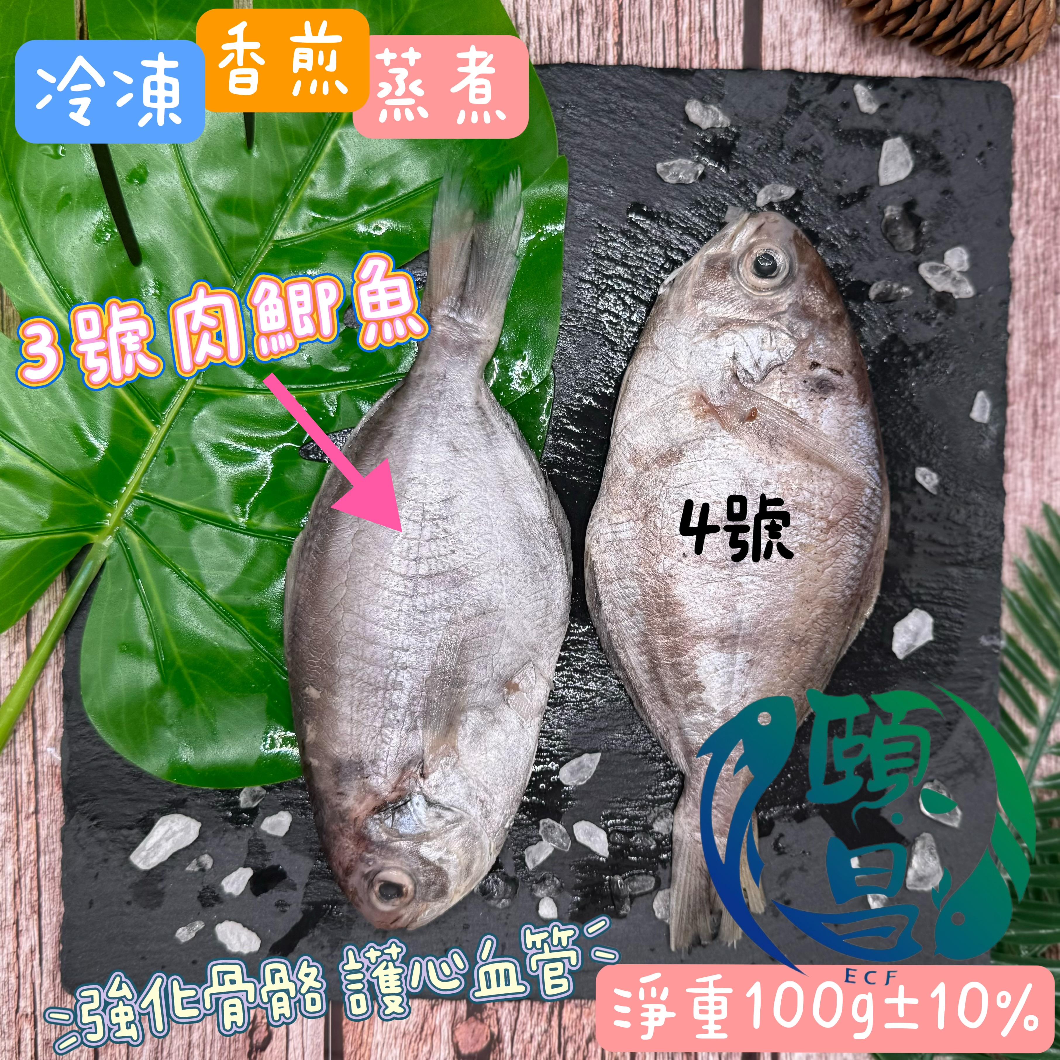 肉鯽魚