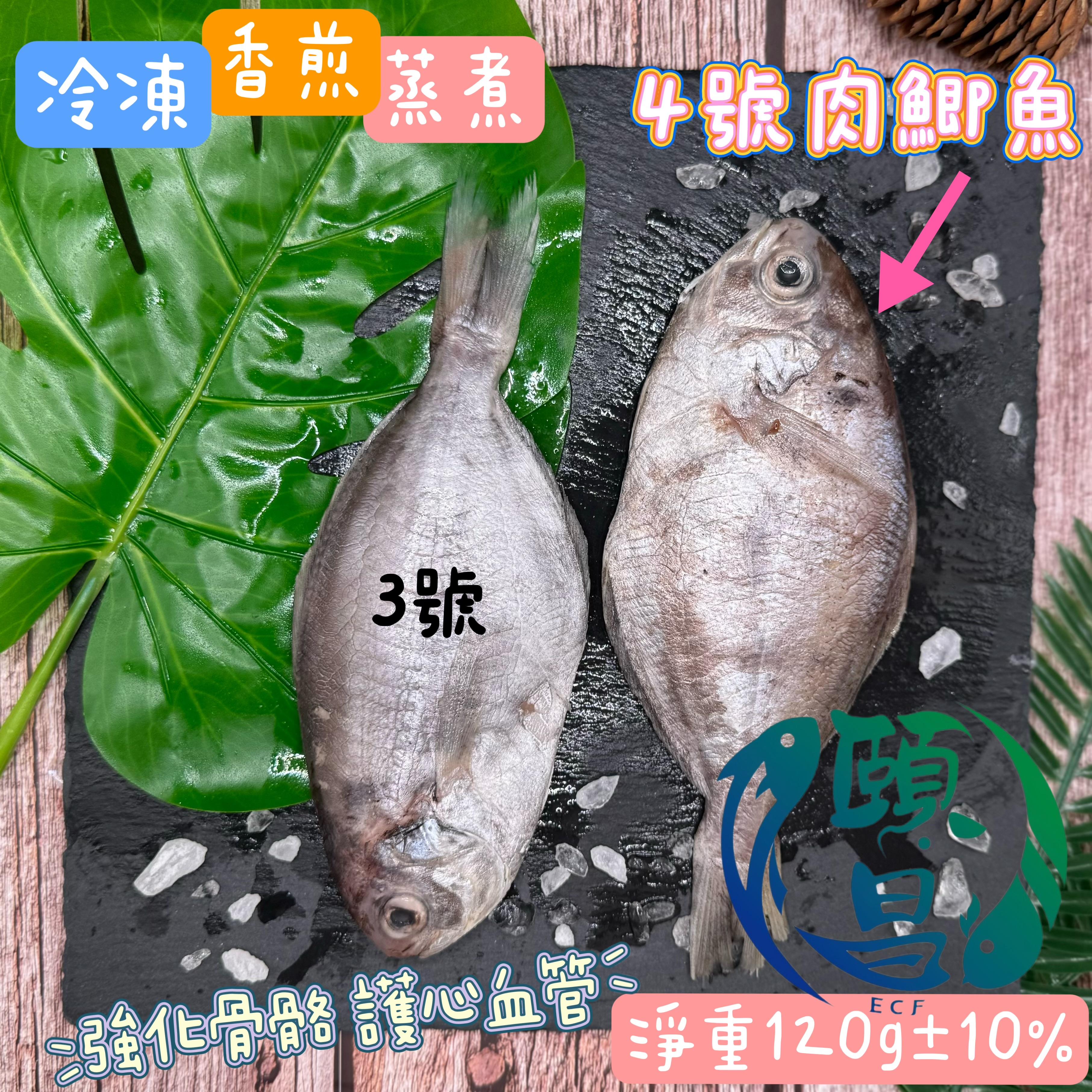 肉鯽魚