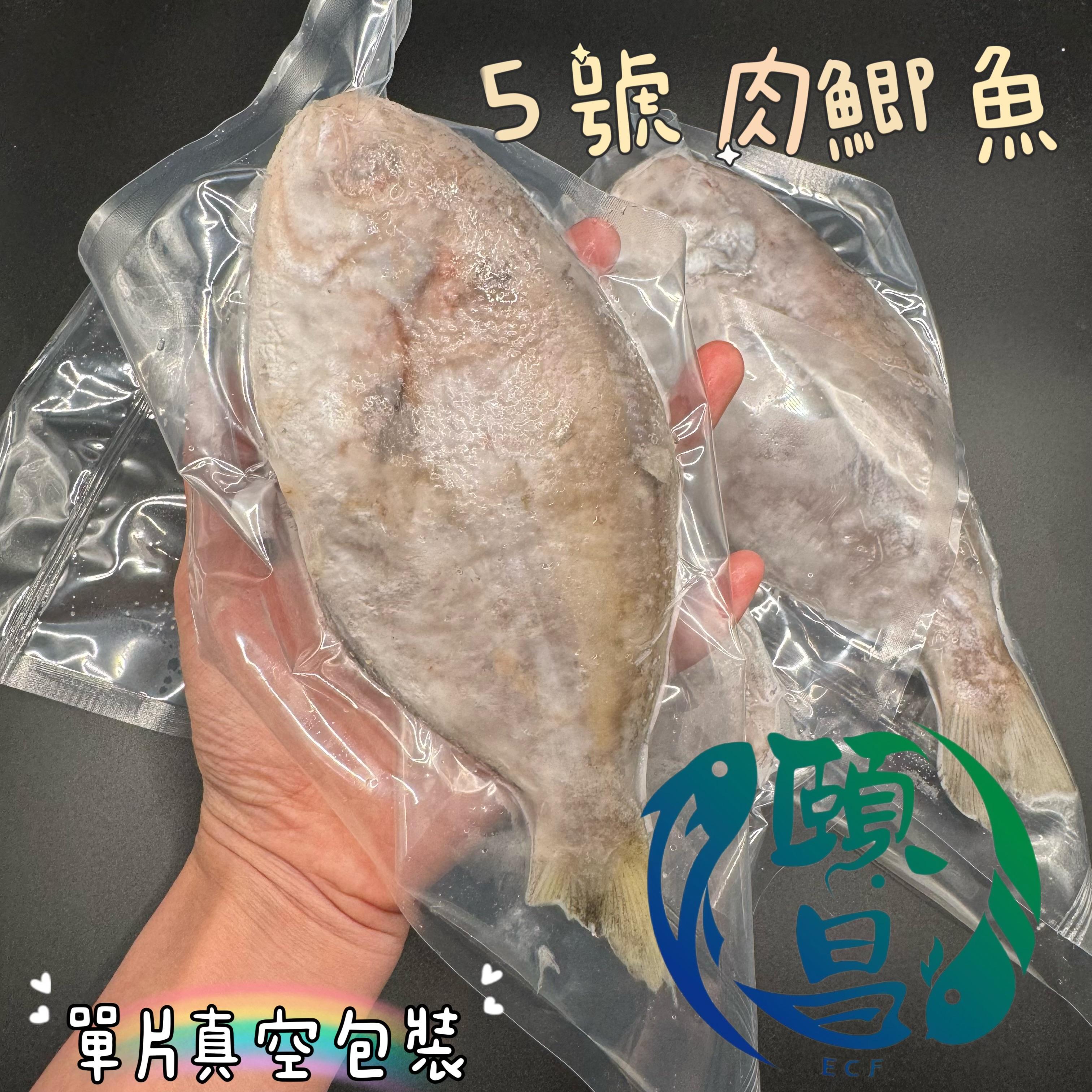 肉鯽魚