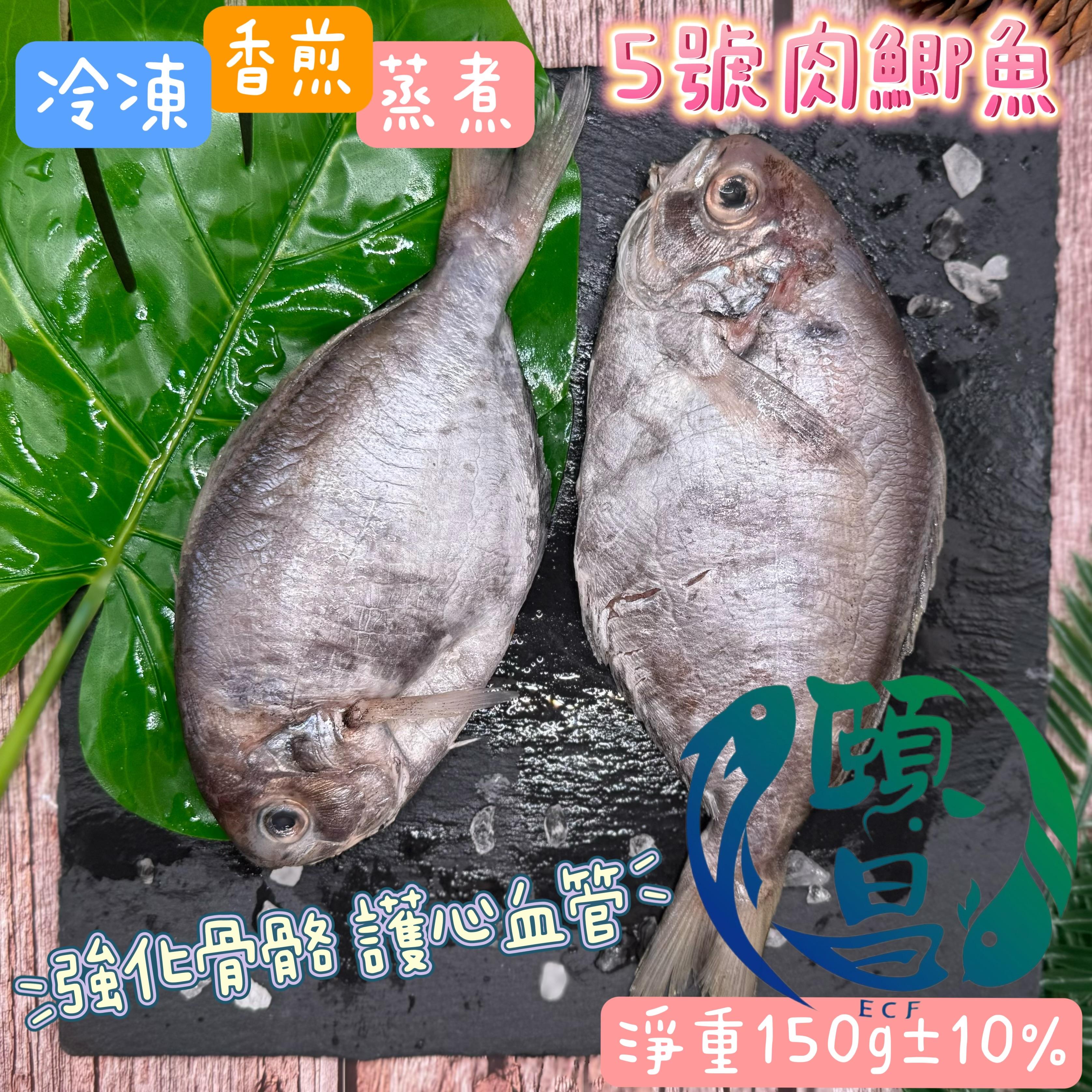 肉鯽魚