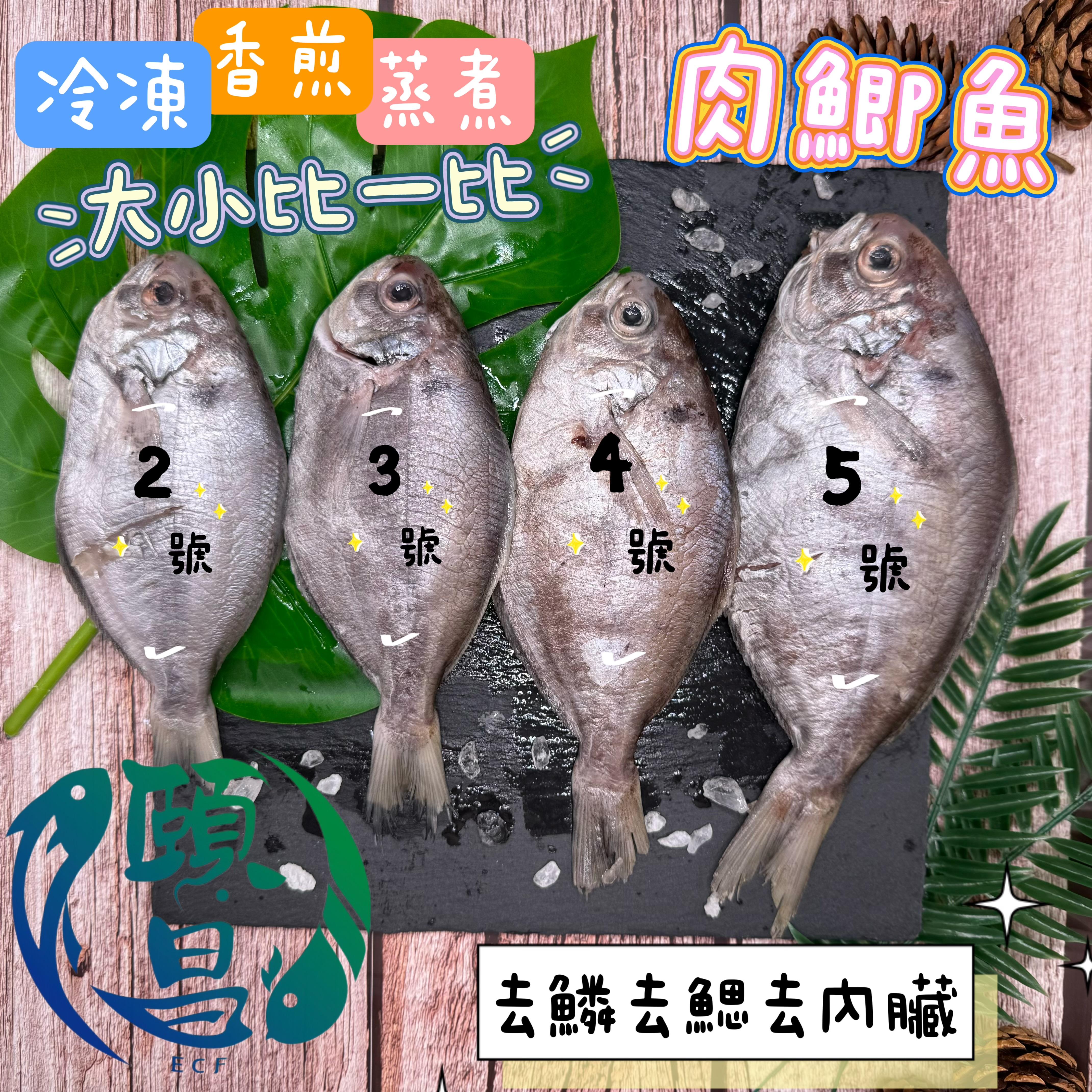 肉鯽魚