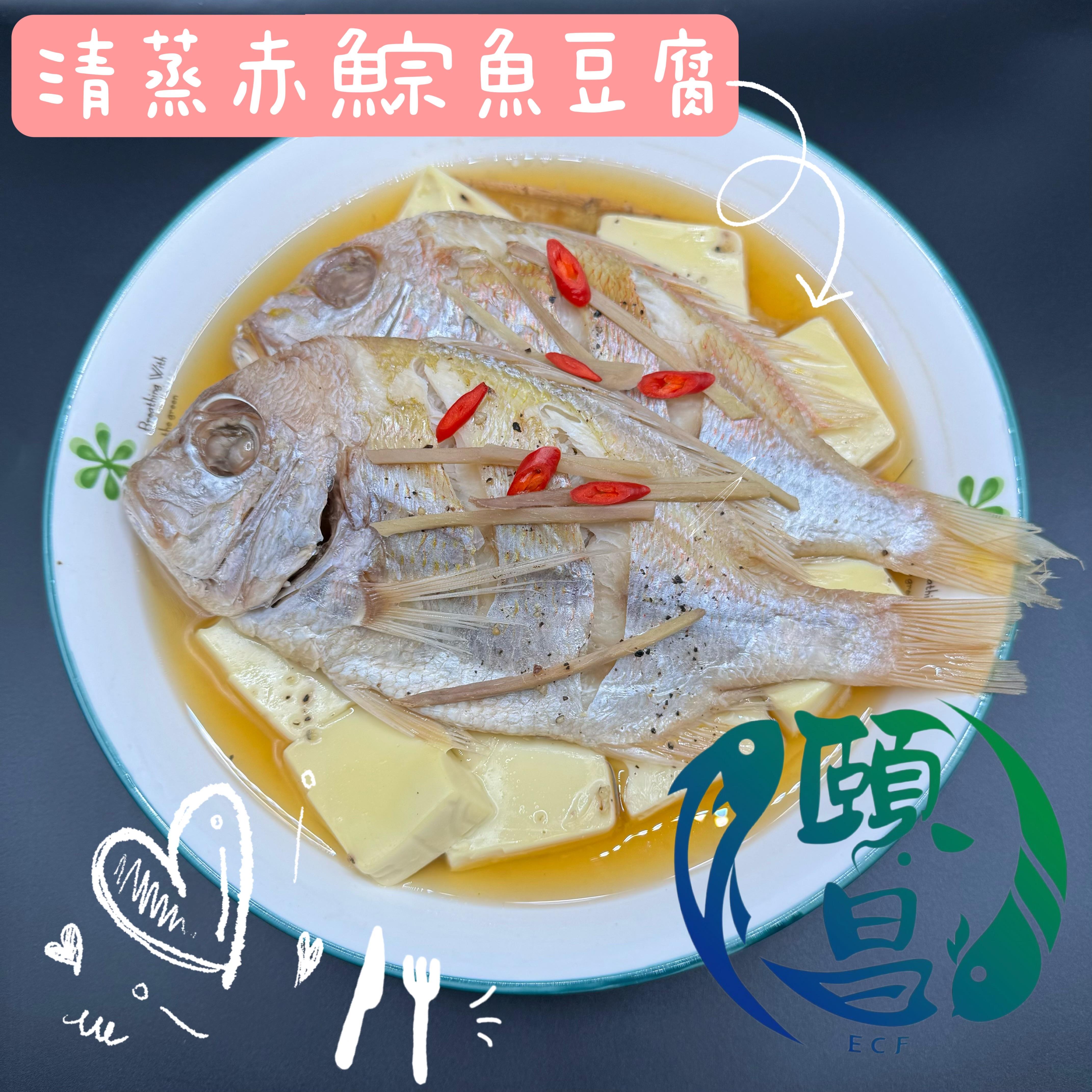 赤鯮魚