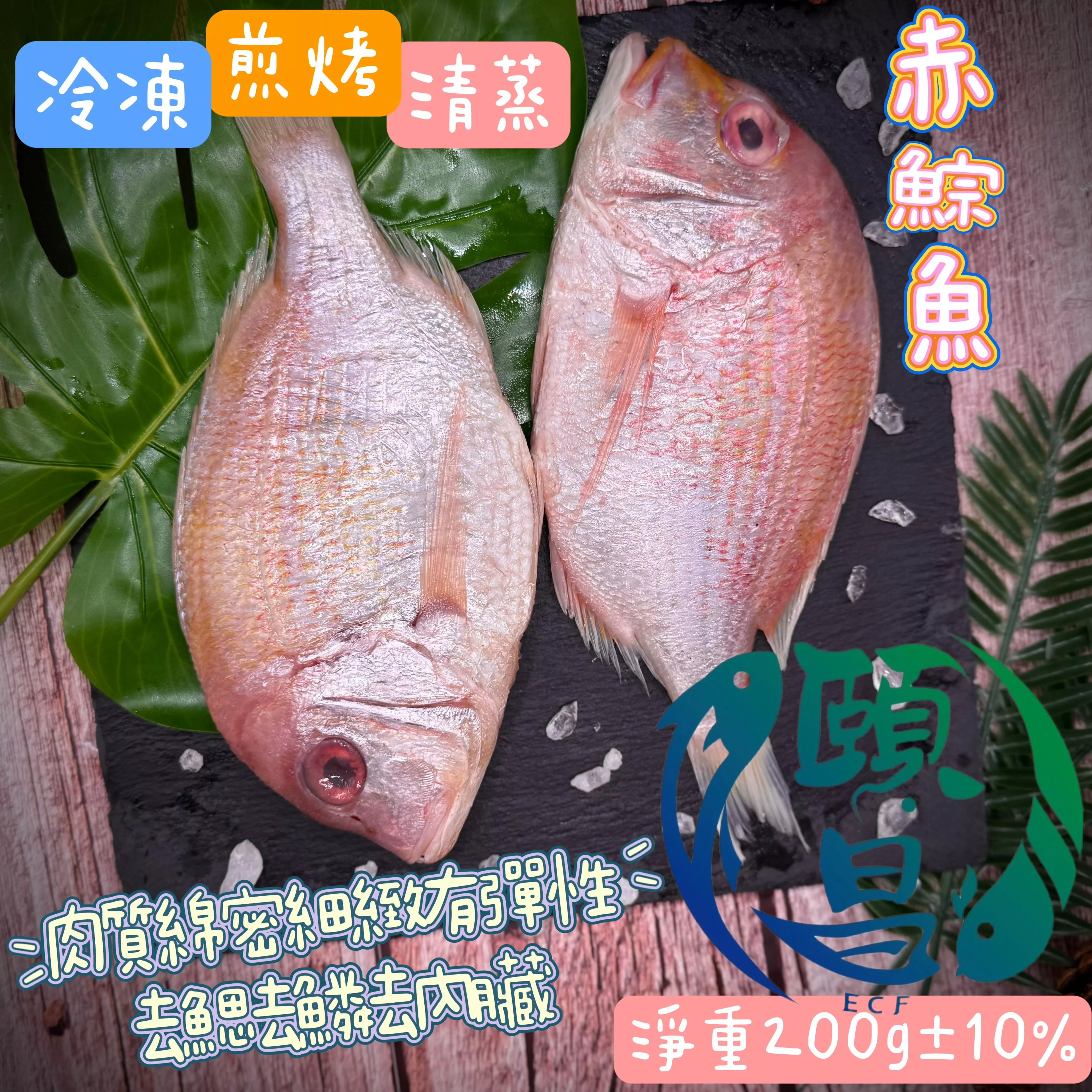 赤鯮魚