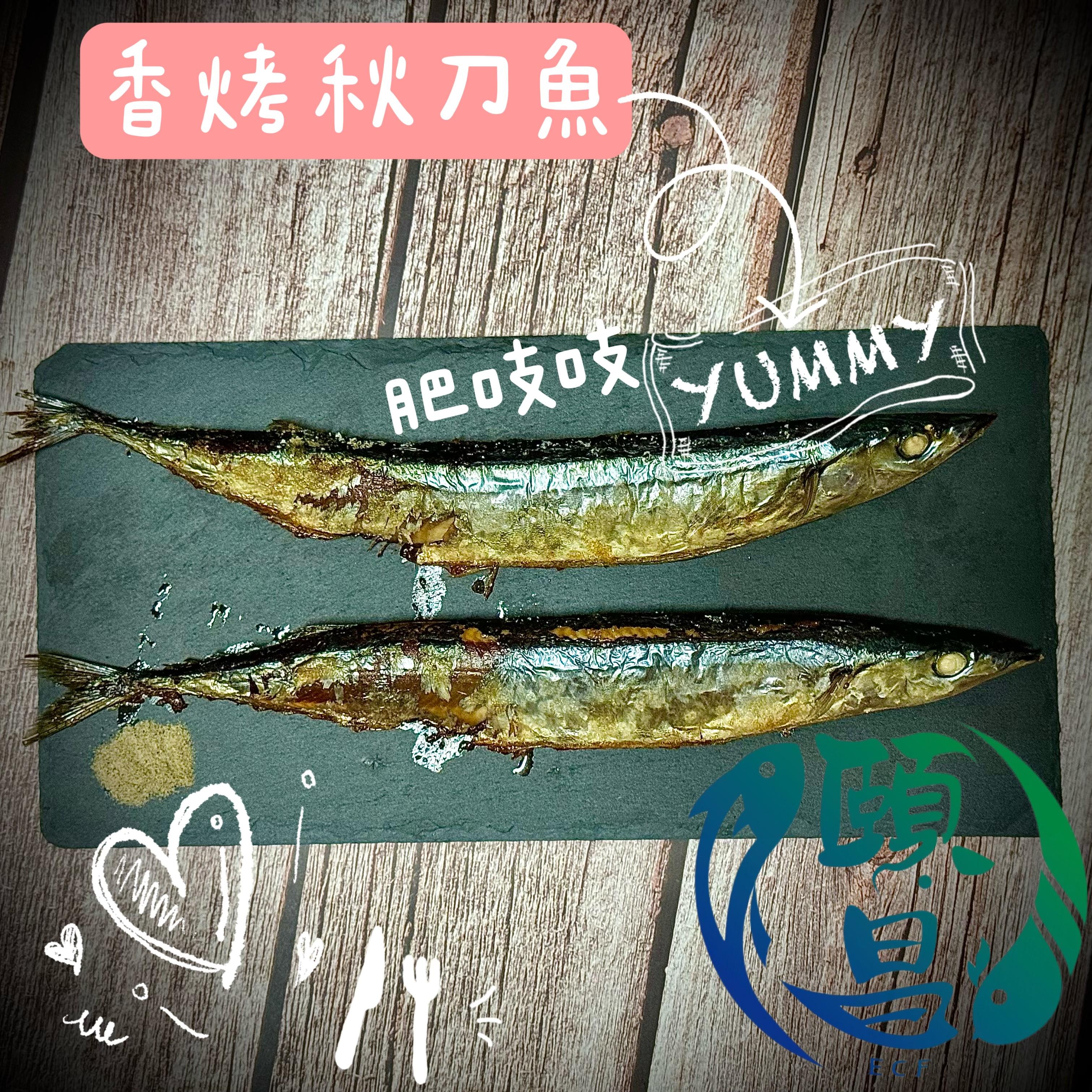 秋刀魚