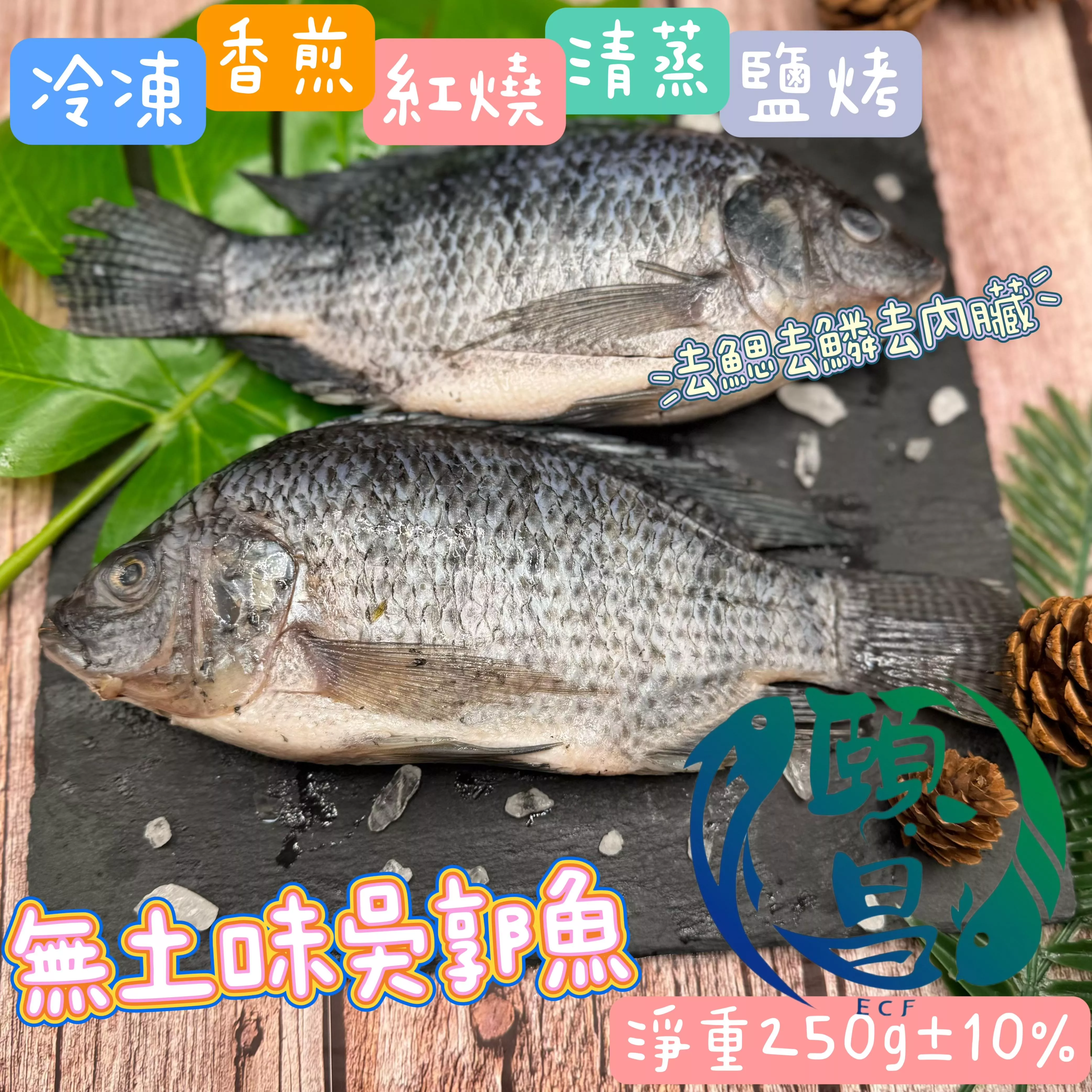 吳郭魚