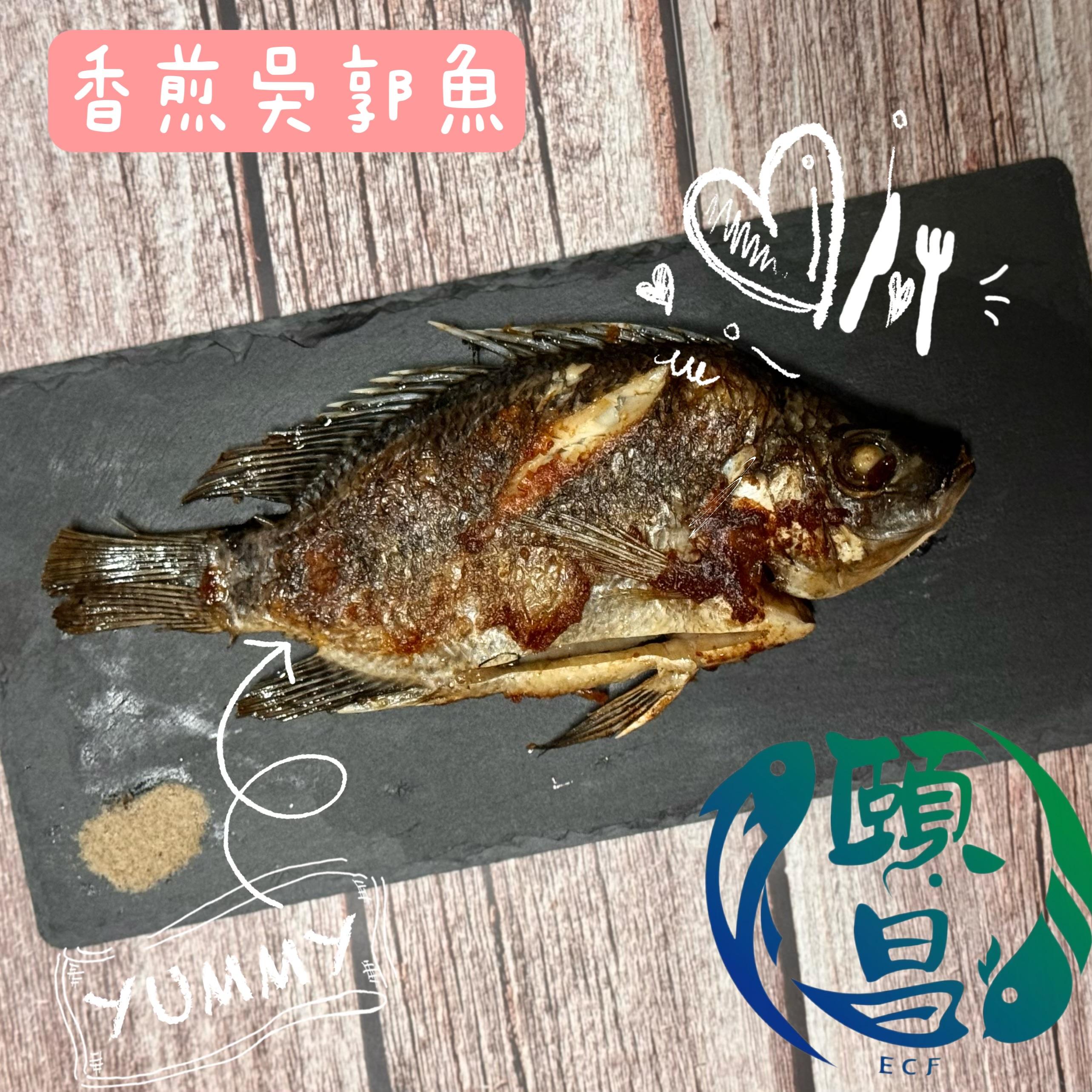 吳郭魚