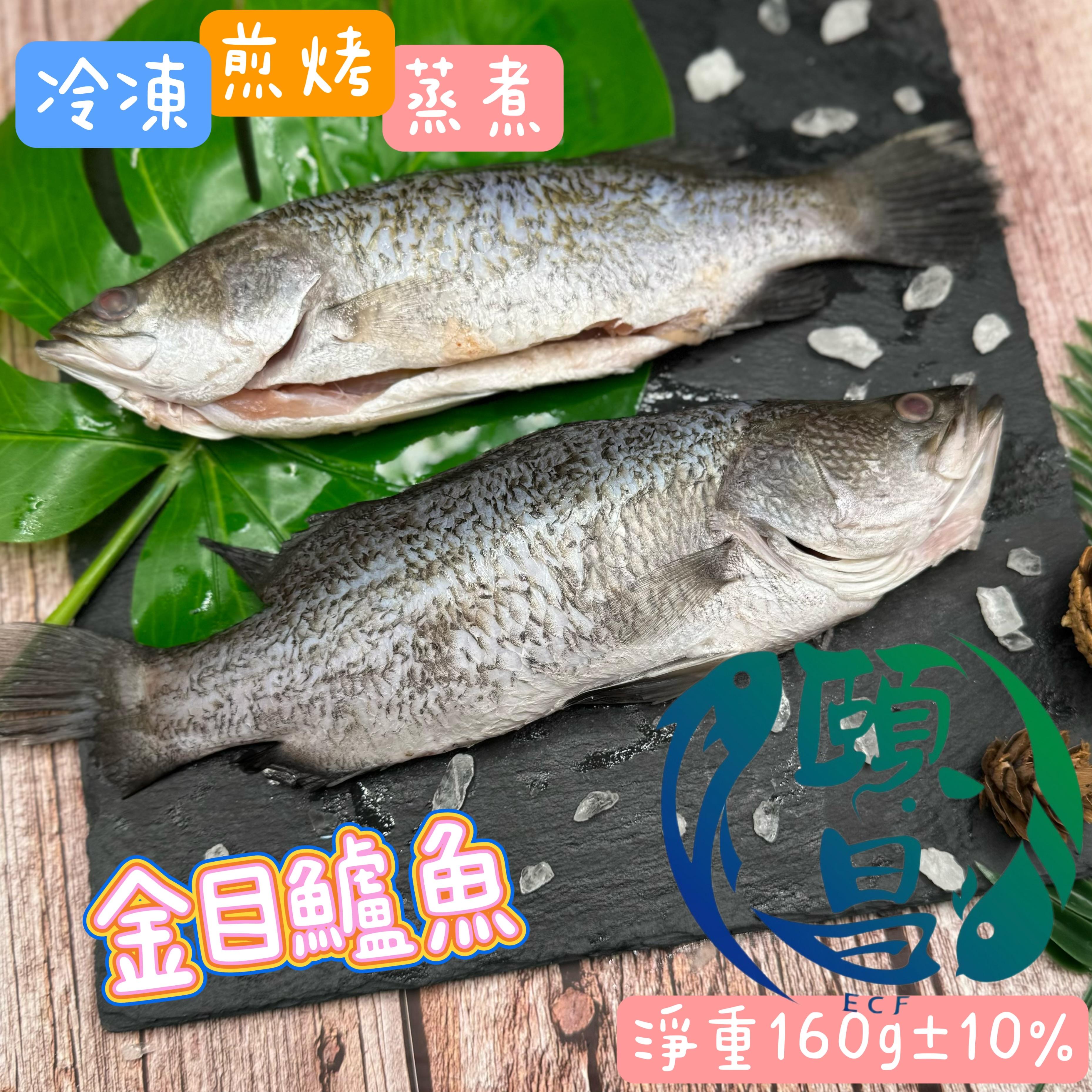 金目鱸魚