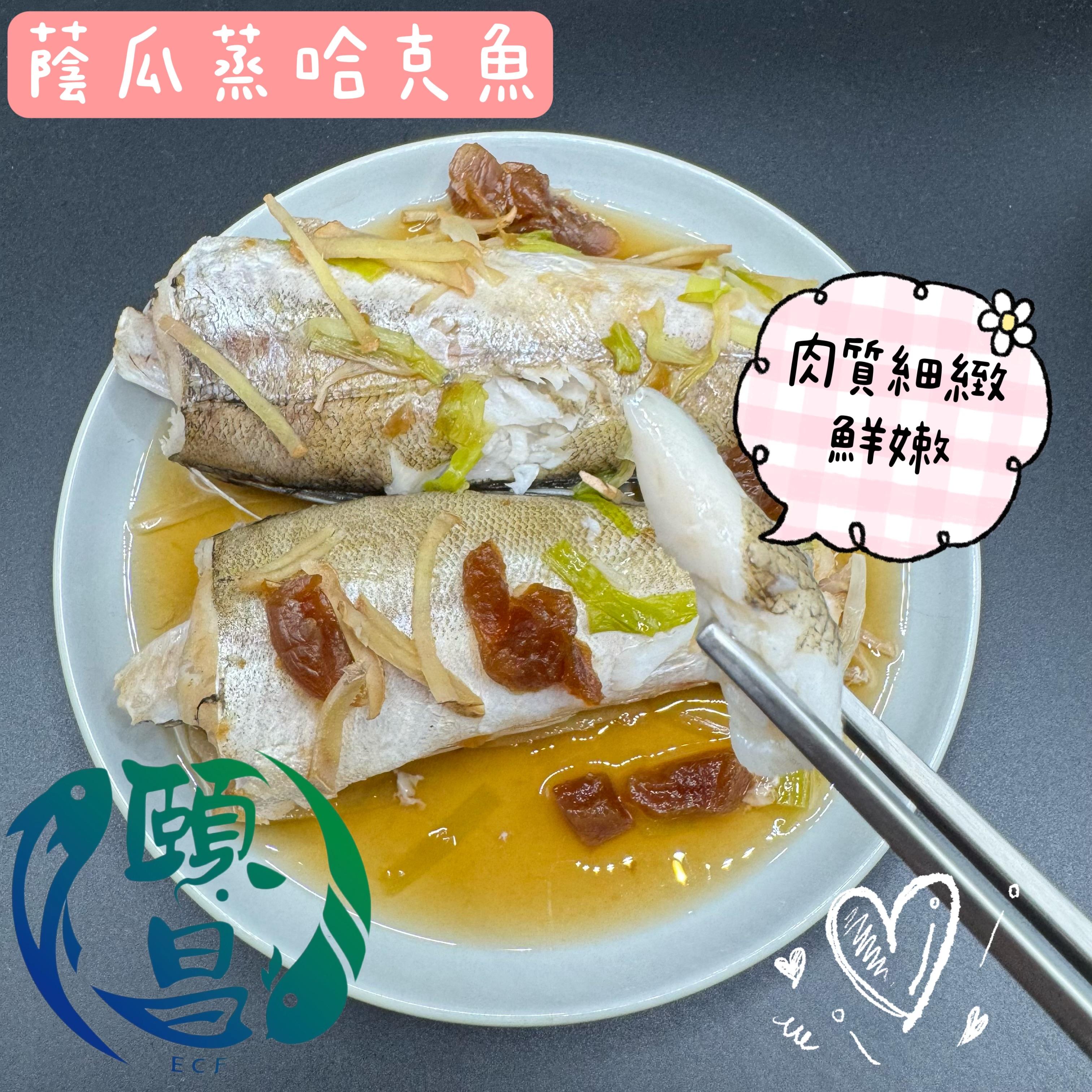 哈克魚(深海小鱈魚)