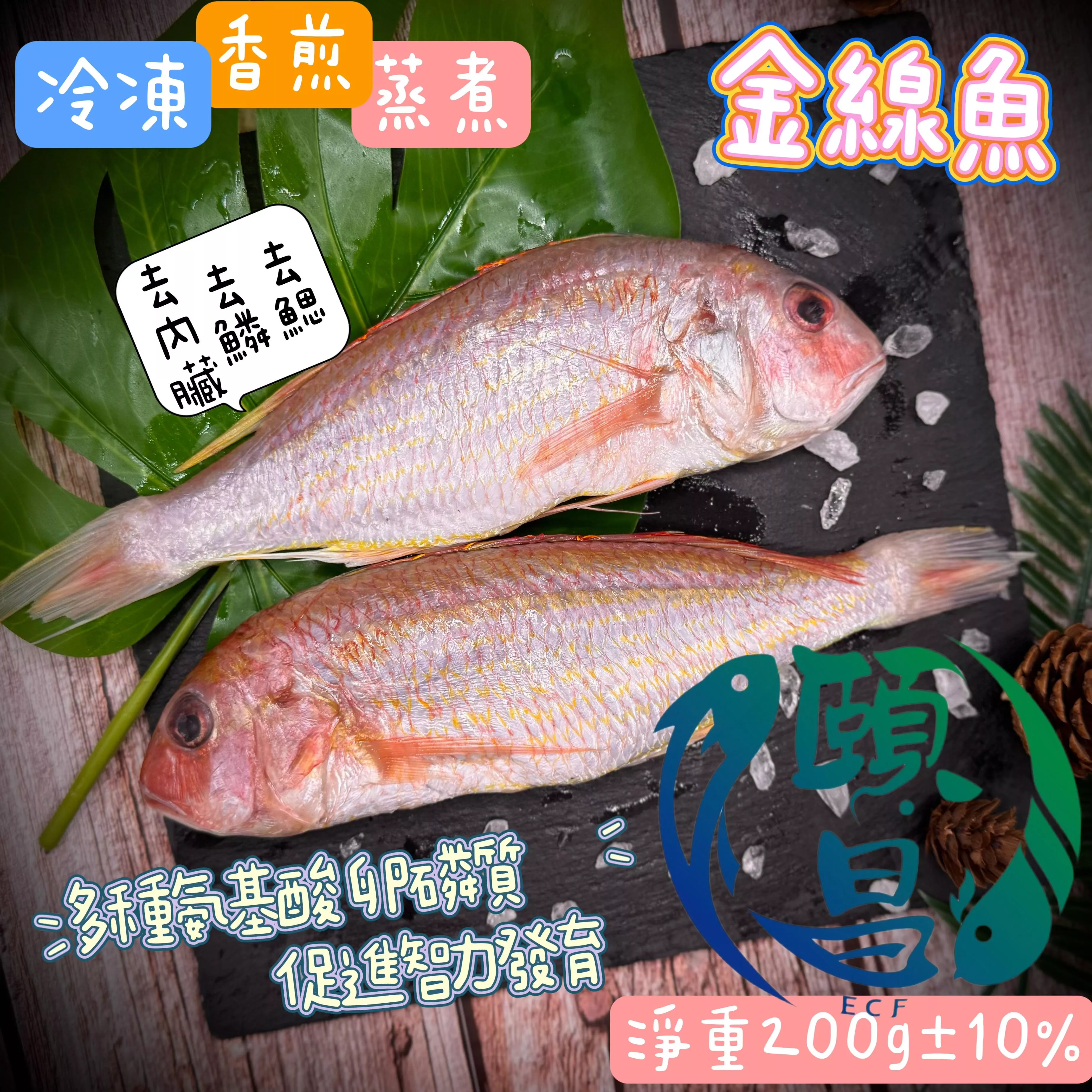 金線魚