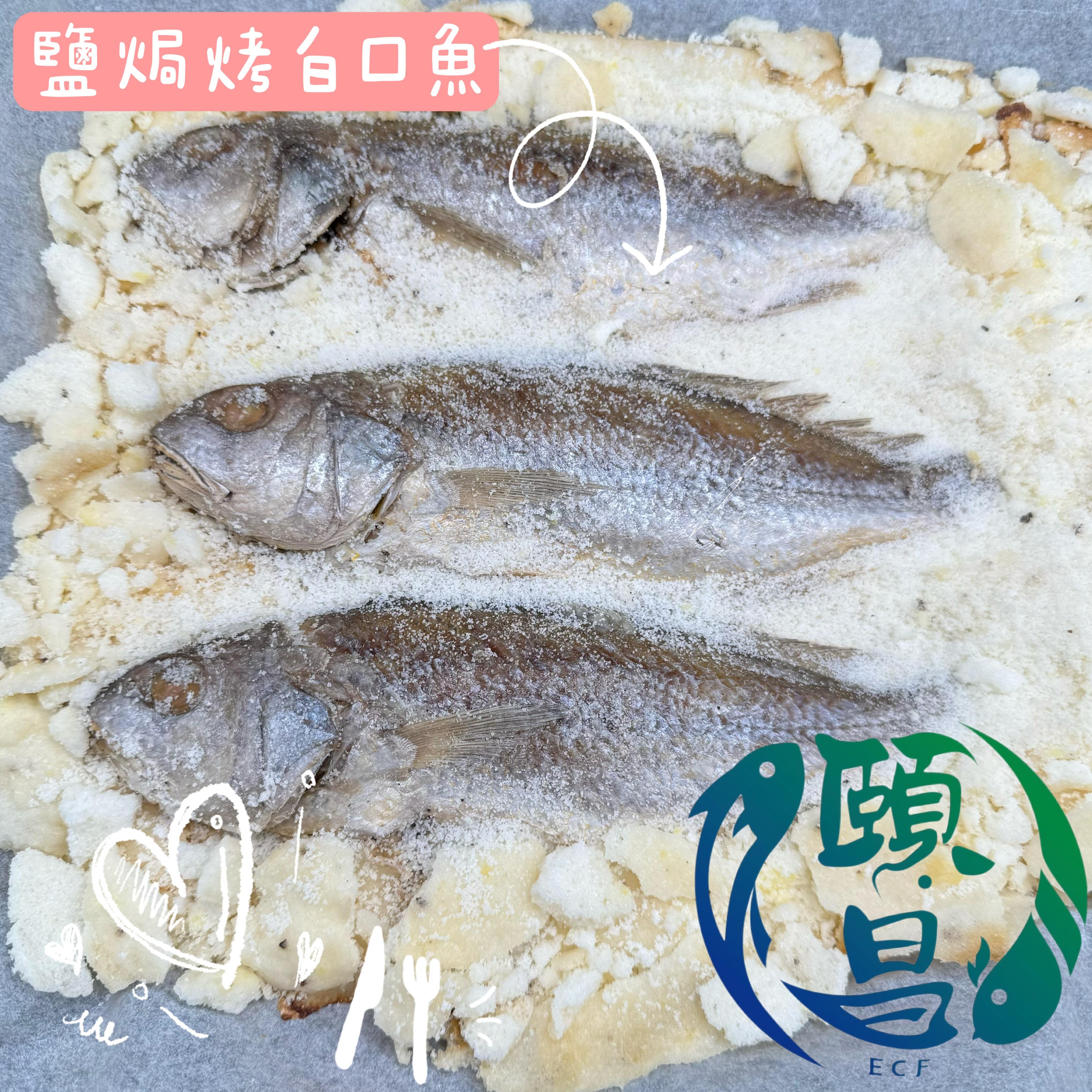 白口魚(帕頭仔)