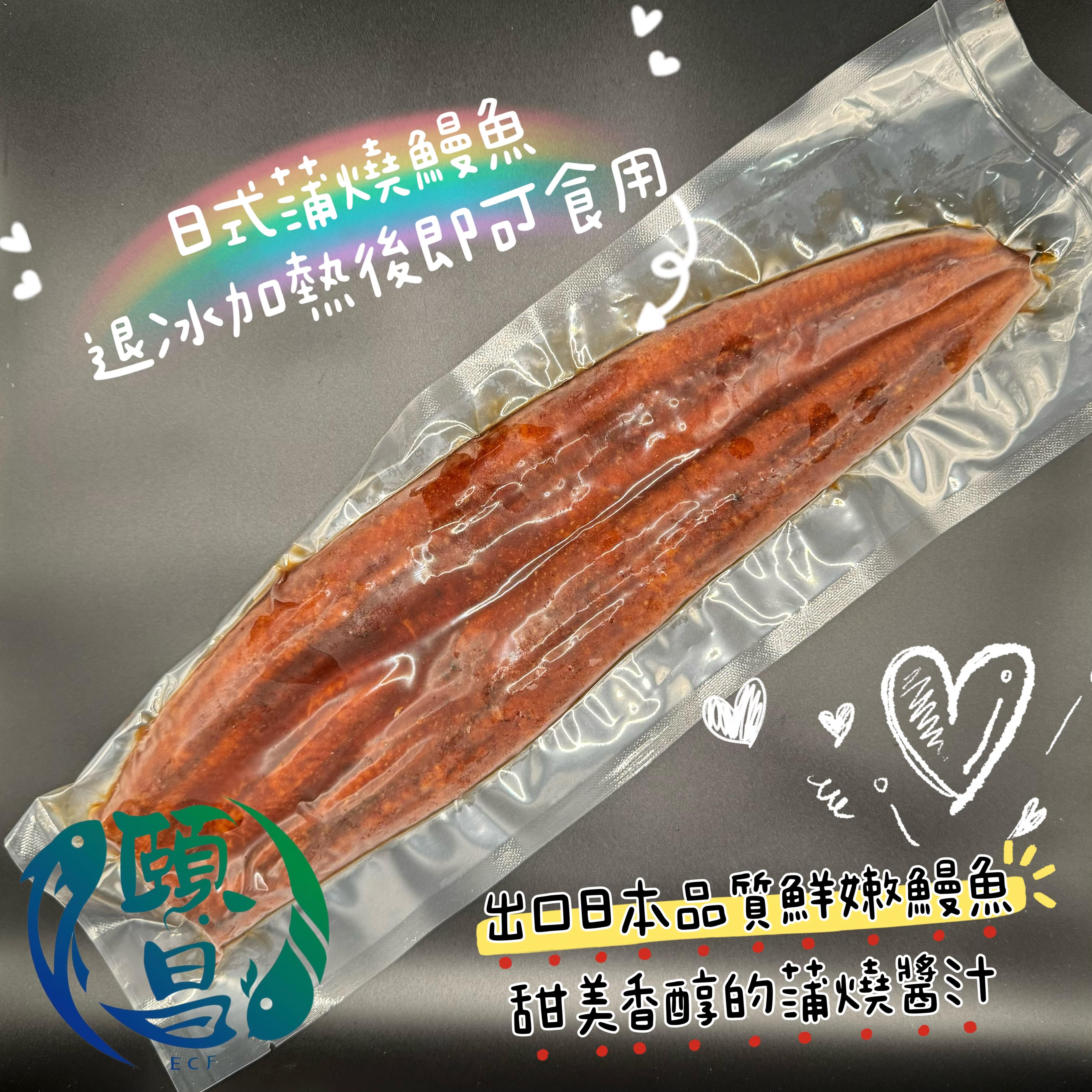 蒲燒鰻魚