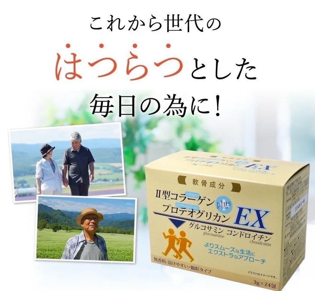 日本《HIKARI》關節護理四天王 EX 3gx24包