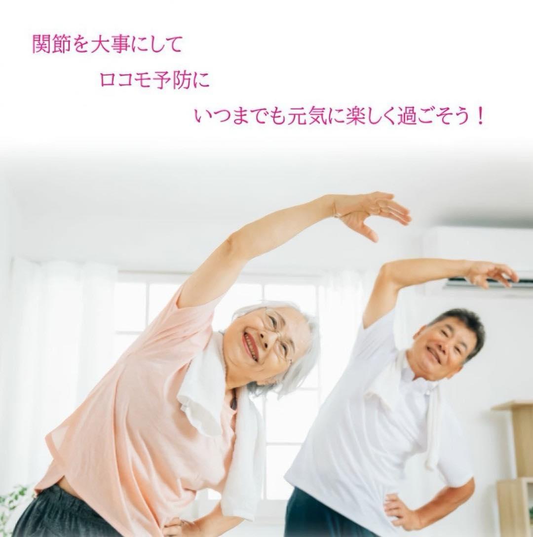 日本《HIKARI》關節護理四天王 EX 3gx24包