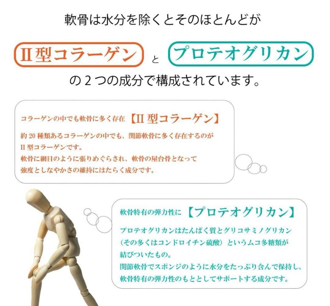 日本《HIKARI》關節護理四天王 EX 3gx24包