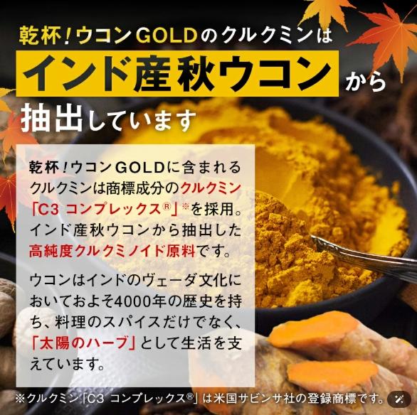 『代購』日本《PILLBOX》 乾杯 GOLD 薑黃素 200mg  隨身包5回分