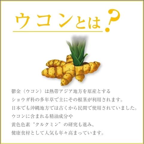 日本《ORIHIRO》薑黃茶 德用 1.5g*48入/包