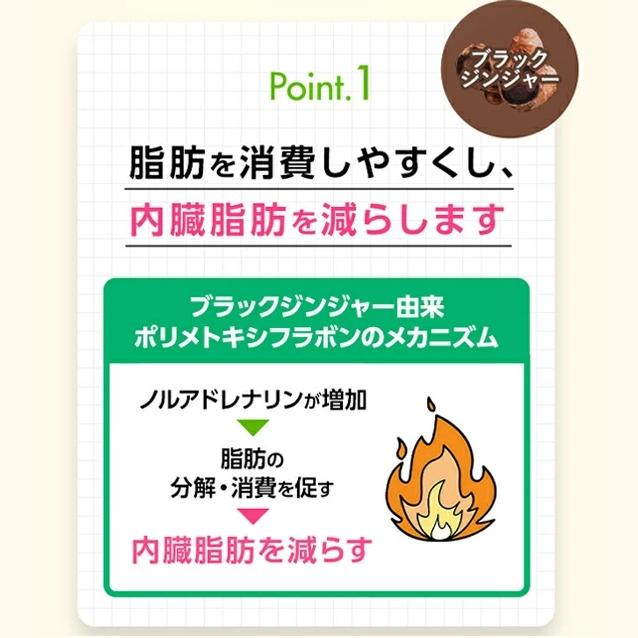 『代購』日本《FANCL 芳珂》內脂Support  內脂丸 30日