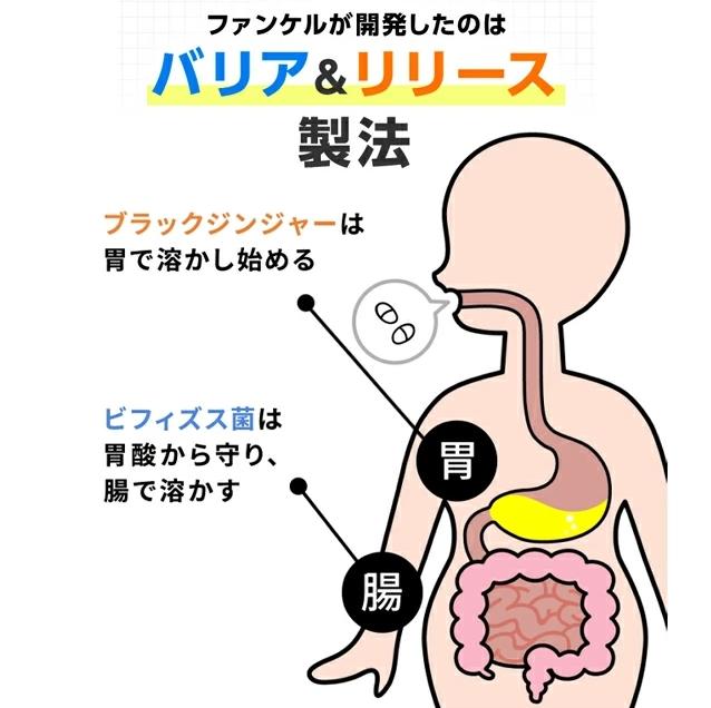 『代購』日本《FANCL 芳珂》內脂Support  內脂丸 30日