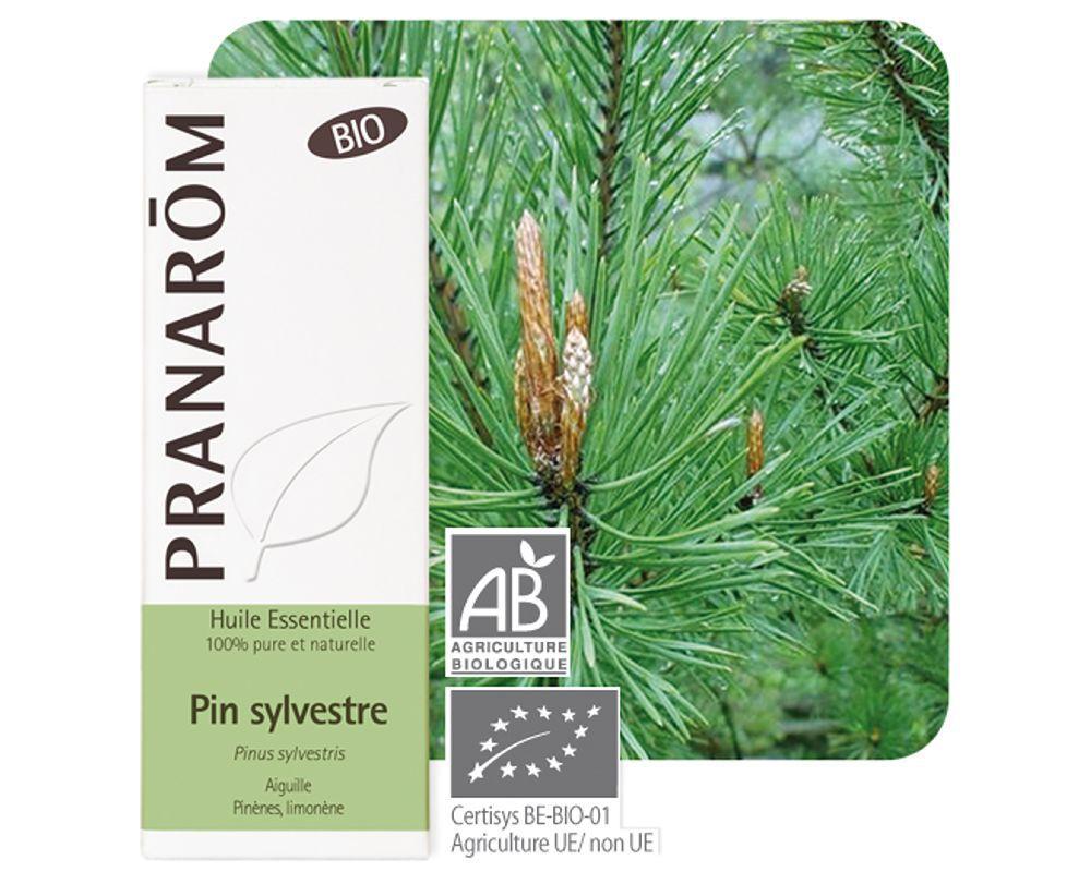 現貨｜Pranarom 有機歐洲赤松 10ml