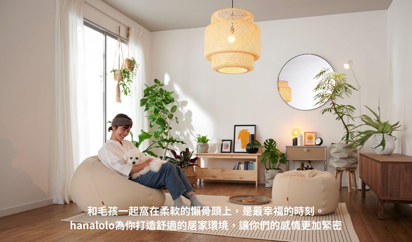 洋蔥款