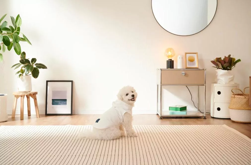 寵物背心帽T(XS~M尺寸)