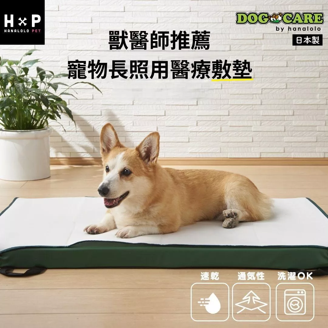 寵物長照用敷墊~來自日本獸醫院的推薦