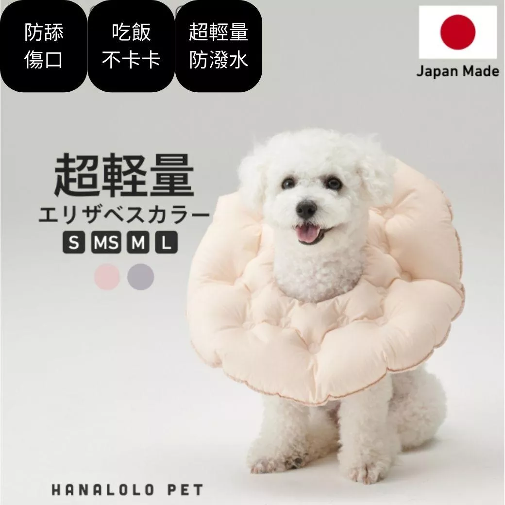 寵物超輕量防舔圈(設計專利商品)