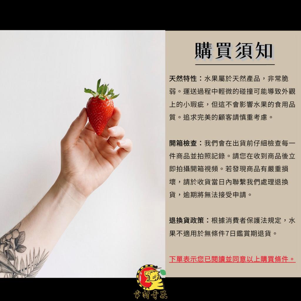 《幸村青果》滿額免運 日本🇯🇵青森縣 水蜜桃蘋果 🍎Toki蜜蘋果 蜜蘋果 明月蜜蘋果 水果禮盒 年節禮盒