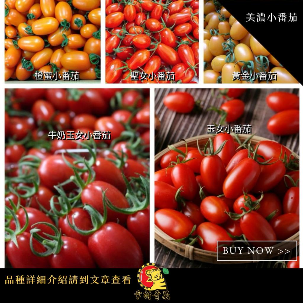 《幸村青果》滿額免運 美濃特產🍅聖女小番茄 牛奶玉女小番茄 玉女小番茄  橙蜜小番茄 黃金小番茄 水果禮盒