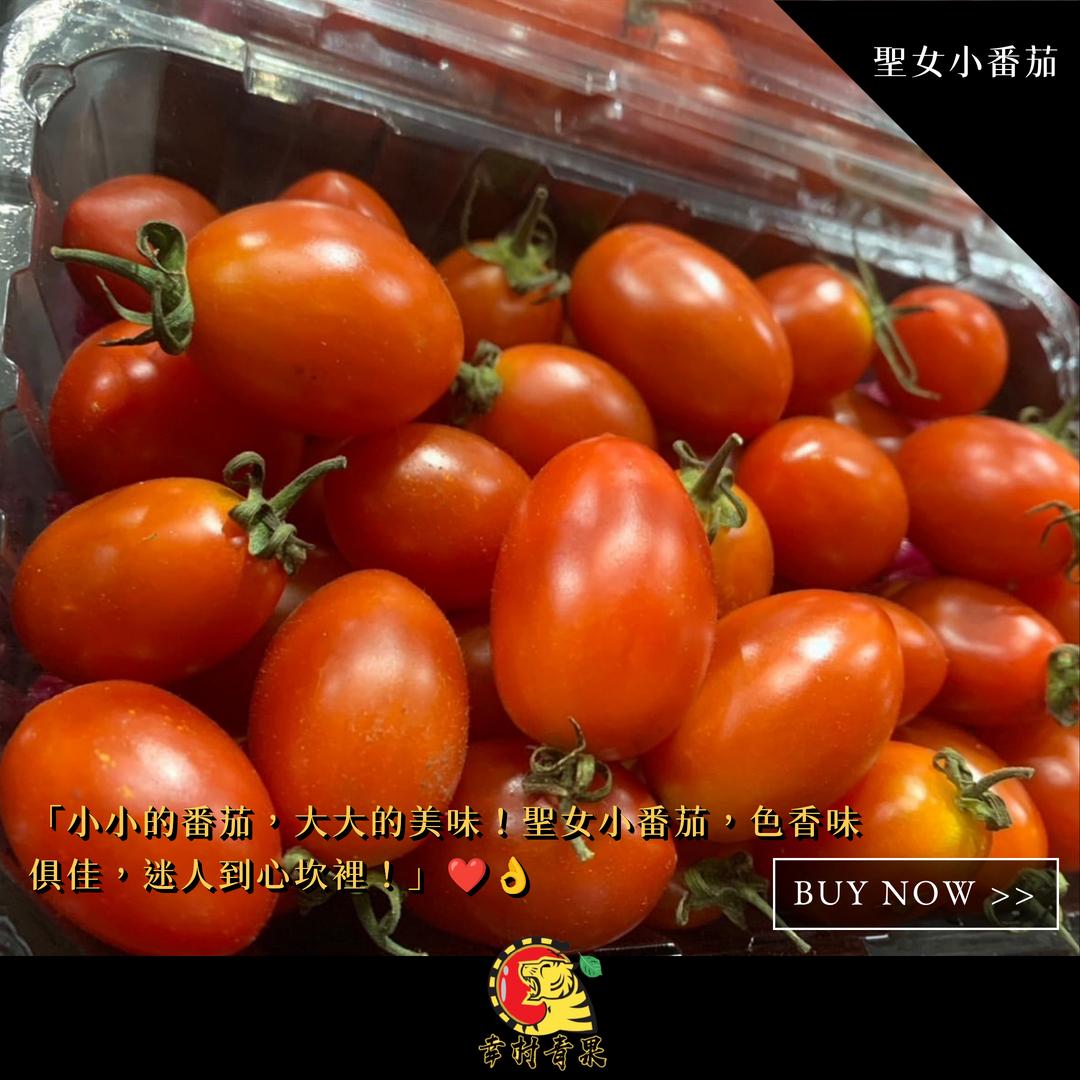 《幸村青果》滿額免運 美濃特產🍅聖女小番茄 牛奶玉女小番茄 玉女小番茄  橙蜜小番茄 黃金小番茄 水果禮盒