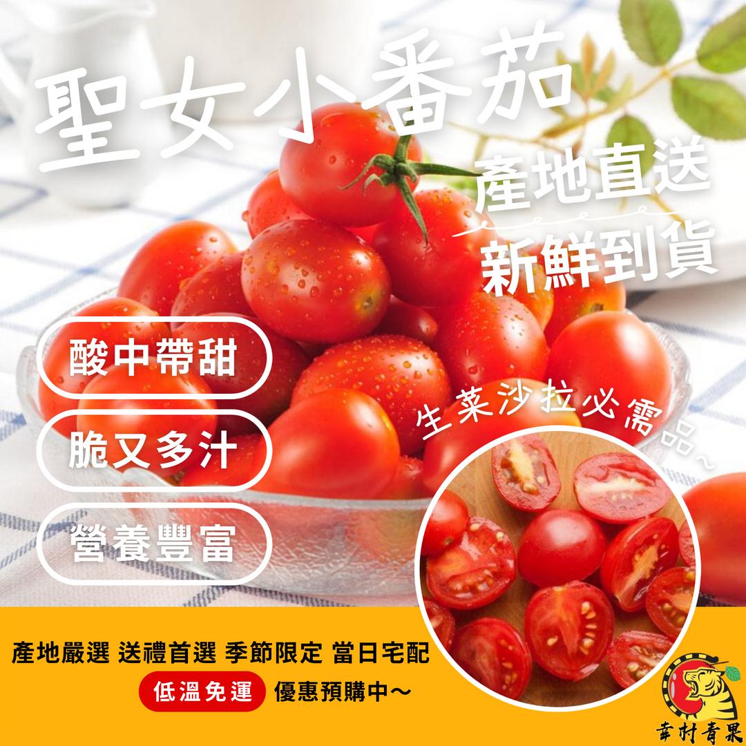 《幸村青果》滿額免運 美濃特產🍅聖女小番茄 牛奶玉女小番茄 玉女小番茄  橙蜜小番茄 黃金小番茄 水果禮盒