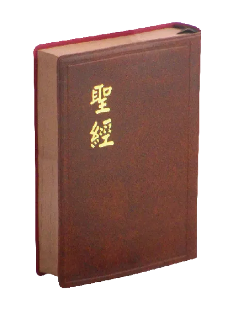 【中文聖經和合本】CU52BR 新舊約聖經 上帝版 輕便型 咖啡色膠面咖啡邊 16x11cm 攜帶實用 禮物推薦