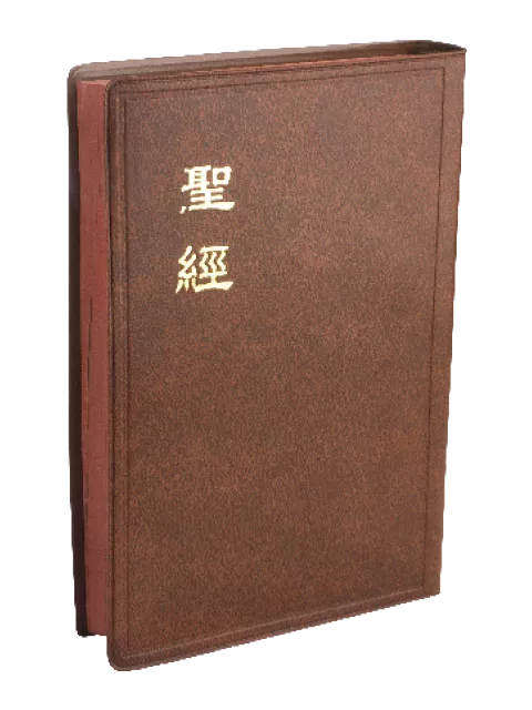 【中文聖經和合本】CU62BR 新舊約聖經 上帝版 中型 咖啡色膠面 咖啡邊 20x14cm 手感溫潤 便攜耐用