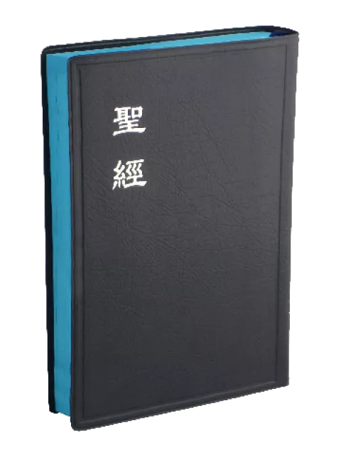 【中文聖經和合本】CU62BU 新舊約聖經 上帝版 中型 藍色膠面 藍邊 20x14cm 清新沉穩 日常靈修首選