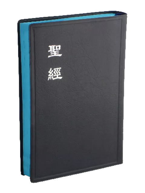 【中文聖經和合本】CU62ABU 新舊約聖經 神版 中型 藍色膠面 藍邊 20x14cm 清新視感 靈修查經首選