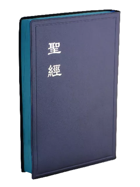 【中文聖經和合本】CU84APLNBU 新舊約聖經 神版 大字型 藍色膠面 藍邊 23x15cm 清晰閱讀 日常靈修首選