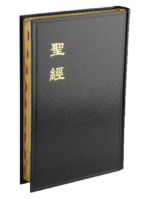 【中文聖經和合本】CU83AGTI 新舊約聖經 神版 大字型 拇指索引 黑色硬面 金邊 23x15cm 查經聚會 長輩閱讀推薦