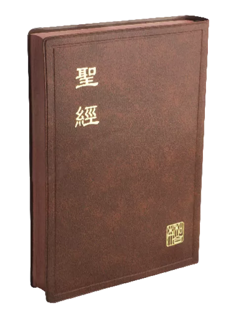 【中文聖經新標點和合本】CUNP62BR 新舊約聖經 上帝版 中型 咖啡色膠面 咖啡邊設計 21x15cm 日常靈修查經聖經書款