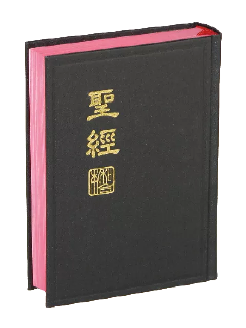 【中文聖經新標點和合本】CUNP53 新舊約聖經 上帝版 輕便型 黑色硬面 紅邊設計 16x12cm 攜帶讀經入門首選