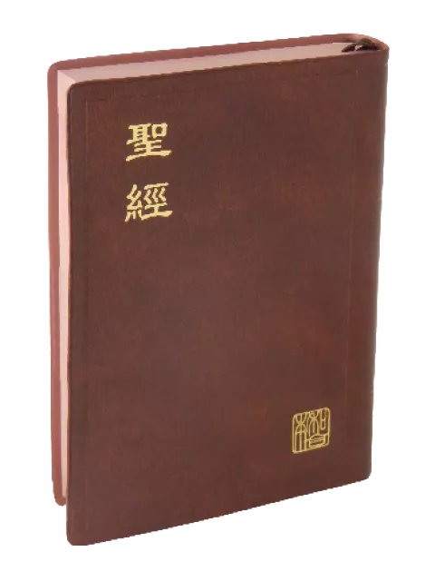【中文聖經新標點和合本】CUNP52 新舊約聖經 上帝版 輕便型 咖啡色膠面 咖啡邊設計 16x12cm 攜帶實用入門聖經