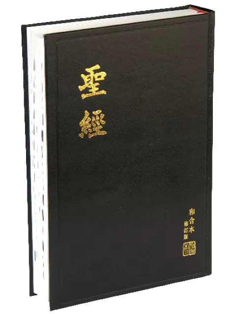【中文聖經和合本2010】RCU83A 新舊約聖經 神版 大字型 黑色硬面 白邊 27x19cm 長輩閱讀 視力友善 靈修講道適用