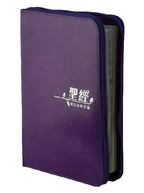 【中文聖經和合本2010】RCUH66XZPU 新舊約聖經 上帝版 中型橫排 紫色皮面 拉鍊超薄 銀邊 21x14cm 優雅輕巧 攜帶首選