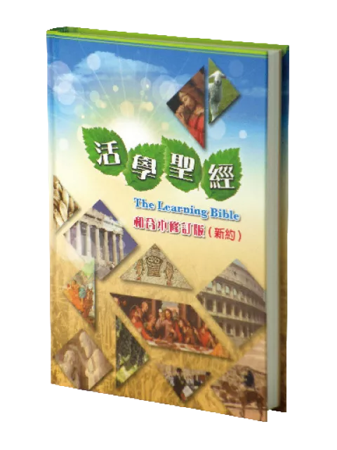 【中文聖經活學版】RCU/LB-1 新約全書 研讀版 彩圖解析 22x16cm 生動解經 適合初信者與主日學教學使用