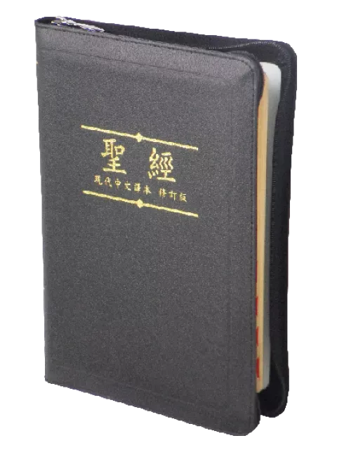 【中文聖經現代中文譯本】TCVCS67PZTI 橫排 拇指索引 黑色皮面金邊 21x15cm 易翻查 實用教學 查經專用