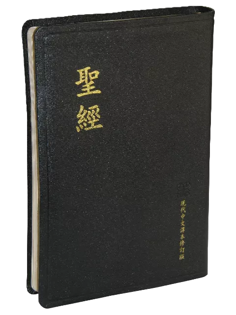 【中文聖經現代中文譯本】TCV077PG 大型 黑色皮面金邊 27x19cm 長輩閱讀 鮮明字體 優雅經典款