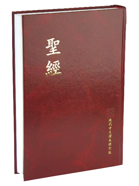【中文聖經現代中文譯本】TCV073P 大型 紅硬面白邊 27x19cm 字體清晰 閱讀舒適 鮮明設計 經典款式