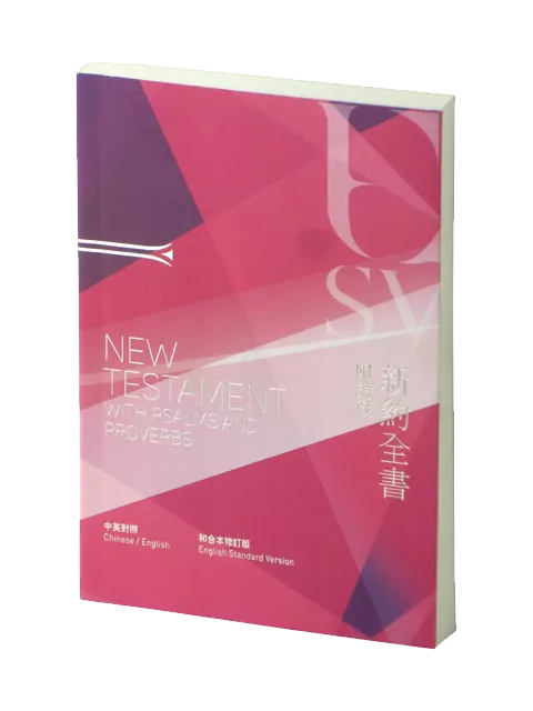 【中英對照新約】RCU/ESV350RD 和合本2010 x 英文標準譯本 ESV 新約聖經 紅色紙面 18.5x13cm 外版便攜型
