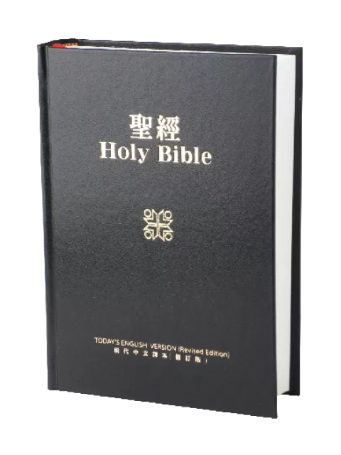 【中英對照聖經】TEV/TCV54DIZ 現代英文 x 現代中文 中型黑色皮面拉鍊金邊 19x13cm