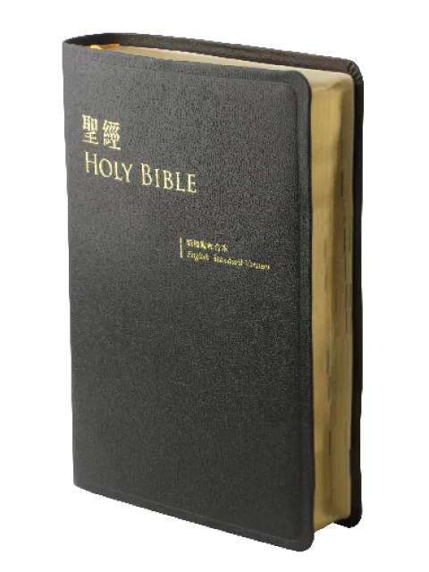 【中英對照聖經】ESV/CUNP67DIG 標準英文 x 和合本 中型黑色皮面金邊 23.5x16cm 上帝版